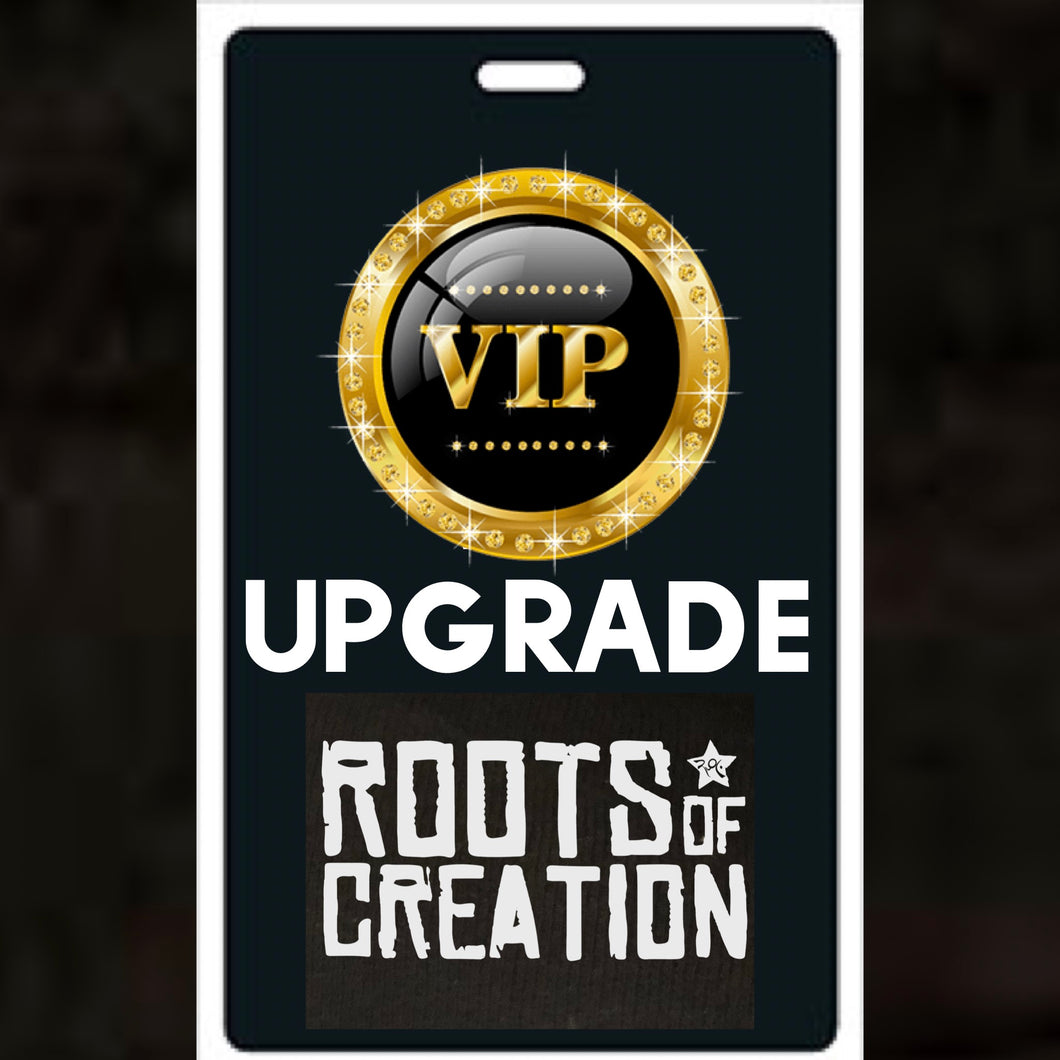 VIP Upgrade (concert ticket not included)